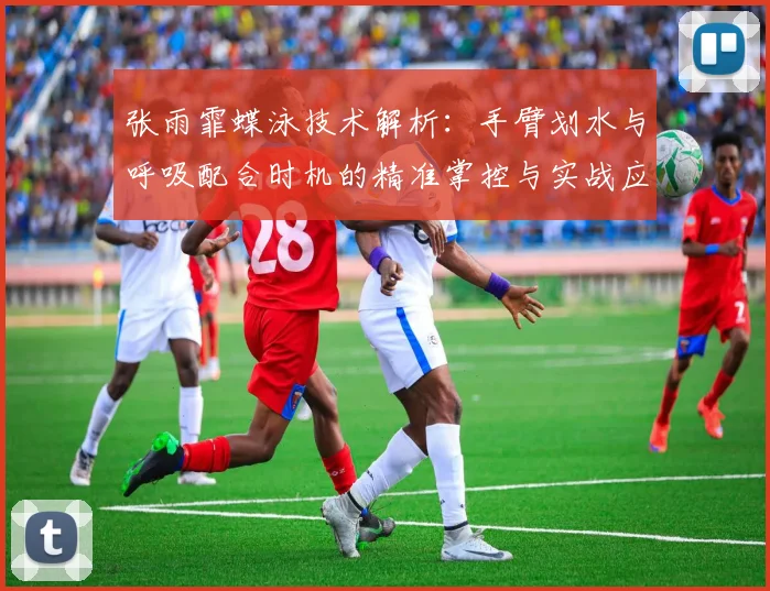 张雨霏蝶泳技术解析：手臂划水与呼吸配合时机的精准掌控与实战应用